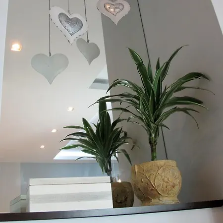 Apartament Harsz Willa Amber Gdynia