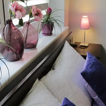 Apartament Harsz Willa Amber *